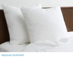 Essential Euro Pillow Insert
