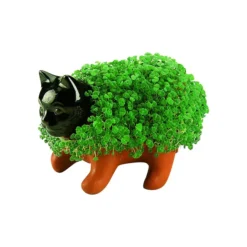 Kitten Terracotta Decorative Chia Pet Planter