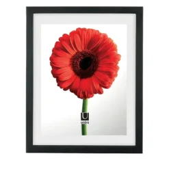 Umbra Document Photo Frame