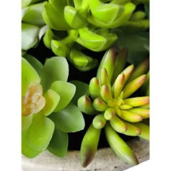 Artificial Mixed Succulent Plants With Planter -Villeyy Decor Shop https3A2F2Fimage.s5a.com2Fis2Fimage2FTheBay2F400927345541 alt23Fwid3D120026hei3D120026qlt3D9026resMode3Dsharp226op usm3D0.92C1.02C82C0 640x