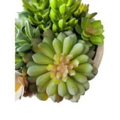 Artificial Mixed Succulent Plants With Planter -Villeyy Decor Shop https3A2F2Fimage.s5a.com2Fis2Fimage2FTheBay2F400927345541 alt33Fwid3D120026hei3D120026qlt3D9026resMode3Dsharp226op usm3D0.92C1.02C82C0 640x