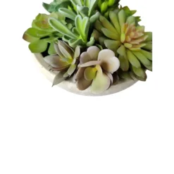 Artificial Mixed Succulent Plants With Planter -Villeyy Decor Shop https3A2F2Fimage.s5a.com2Fis2Fimage2FTheBay2F400927345541 alt43Fwid3D120026hei3D120026qlt3D9026resMode3Dsharp226op usm3D0.92C1.02C82C0 640x