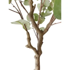 Artificial Eucalyptus Tree With Planter -Villeyy Decor Shop https3A2F2Fimage.s5a.com2Fis2Fimage2FTheBay2F400927345589 alt43Fwid3D120026hei3D120026qlt3D9026resMode3Dsharp226op usm3D0.92C1.02C82C0 640x