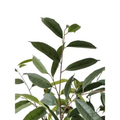 Artificial French Ficus Tree With Planter -Villeyy Decor Shop https3A2F2Fimage.s5a.com2Fis2Fimage2FTheBay2F400927345602 alt33Fwid3D120026hei3D120026qlt3D9026resMode3Dsharp226op usm3D0.92C1.02C82C0 640x