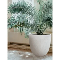 Noemie Teacup Planter -Villeyy Decor Shop https3A2F2Fimage.s5a.com2Fis2Fimage2FTheBay2F772349888969 alt53Fwid3D120026hei3D120026qlt3D9026resMode3Dsharp226op usm3D0.92C1.02C82C0 640x