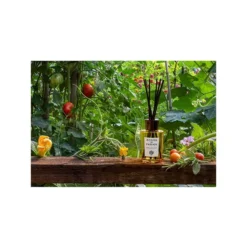 Acqua Di Parma Profumi Dell'Orto Diffuser -Villeyy Decor Shop https3A2F2Fimage.s5a.com2Fis2Fimage2FTheBay2F8028713622137 alt43Fwid3D120026hei3D120026qlt3D9026resMode3Dsharp226op usm3D0.92C1.02C82C0 640x