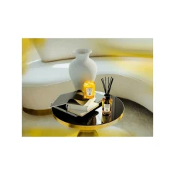 Acqua Di Parma Grazie Room Diffuser -Villeyy Decor Shop https3A2F2Fimage.s5a.com2Fis2Fimage2FTheBay2F8028713623165 alt33Fwid3D120026hei3D120026qlt3D9026resMode3Dsharp226op usm3D0.92C1.02C82C0 640x